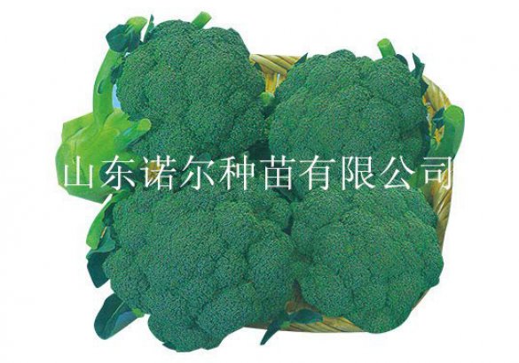 西蘭花